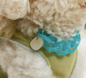 Beach Necklace for Dogs